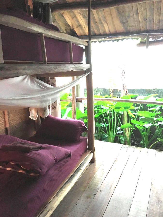 Nguyen Shack - Phong Nha Central Town Екстериор снимка
